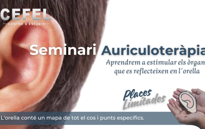 curs-auriculoterapia
